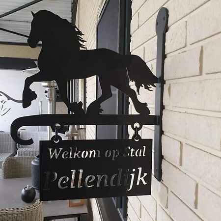 Luxe Gastenkamer Met Living En Keuken Bij Friezen Paarden Stal Pellendijk Westendorp Esterno foto