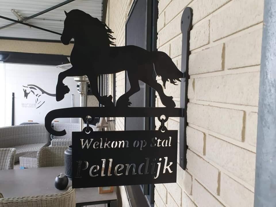 Luxe Gastenkamer Met Living En Keuken Bij Friezen Paarden Stal Pellendijk Westendorp Esterno foto
