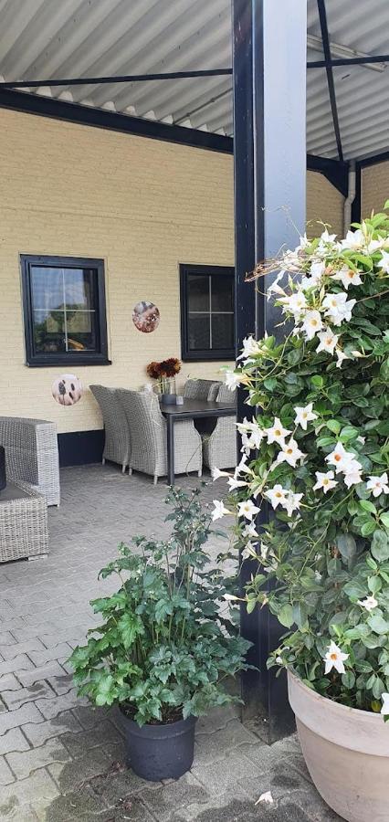 Luxe Gastenkamer Met Living En Keuken Bij Friezen Paarden Stal Pellendijk Westendorp Esterno foto