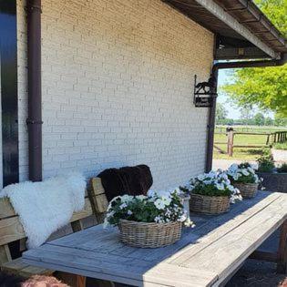 Luxe Gastenkamer Met Living En Keuken Bij Friezen Paarden Stal Pellendijk Westendorp Esterno foto