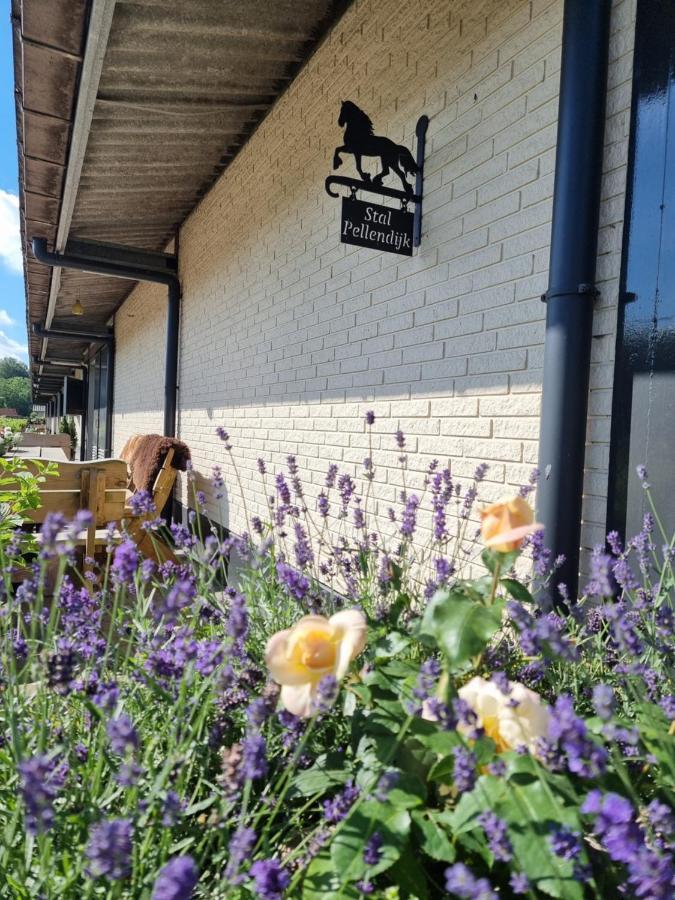 Luxe Gastenkamer Met Living En Keuken Bij Friezen Paarden Stal Pellendijk Westendorp Esterno foto